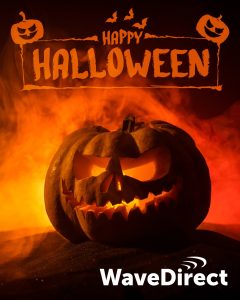 562364142 1430439002424354 2687248184716445355 N