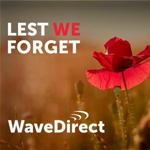 576930339 1448617900606464 1160802934580155414 N