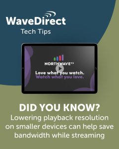 586101185 1465674445567476 7999307517786969886 N