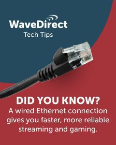 587334178 1465672942234293 4814722244901595877 N