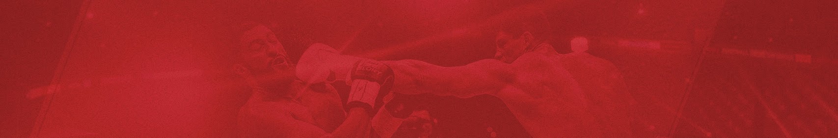1 FightNetwork Banner