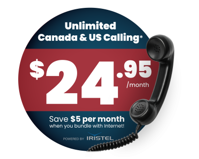 Home Phone Pricing2